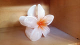 Haarspange Haarklammer ORCHIDEE Flower White/yellow