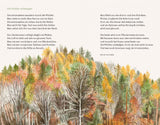 Buch Die kleine Waldfibel