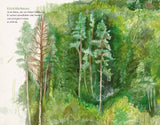 Buch Die kleine Waldfibel