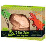 T-Rex Zahn an der Kette zum Ausgraben