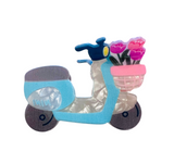 schönes geschenk für mädchen und frauen mit Roller