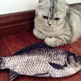 Federmäppchen FISCH Karpfen