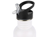 Edelstahl Trinkflasche APPLE 350 ml