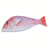 Federmäppchen FISCH Red Snapper
