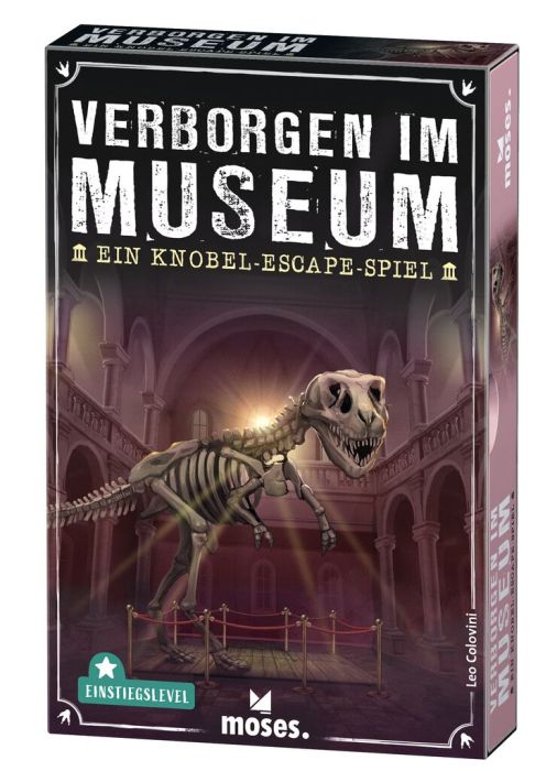 Verborgen im Museum Escape-Spiel