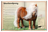Das Riesenbuch der Pferde und Ponys