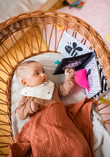 Baby Kontrastbuch "Kuckuck kleiner Käfer" mit Spiegel und Stoffklappen