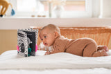 Baby Kontrastbuch "Kuckuck kleiner Käfer" mit Spiegel und Stoffklappen