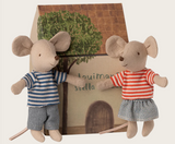 LouiMax und Stella, kleine Geschwistermäuse