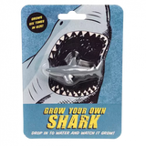 Grow your own Shark - Wachsender Haifisch