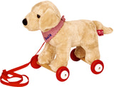 nachziehtier Hund